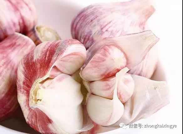 微信图片_20180529092126.jpg