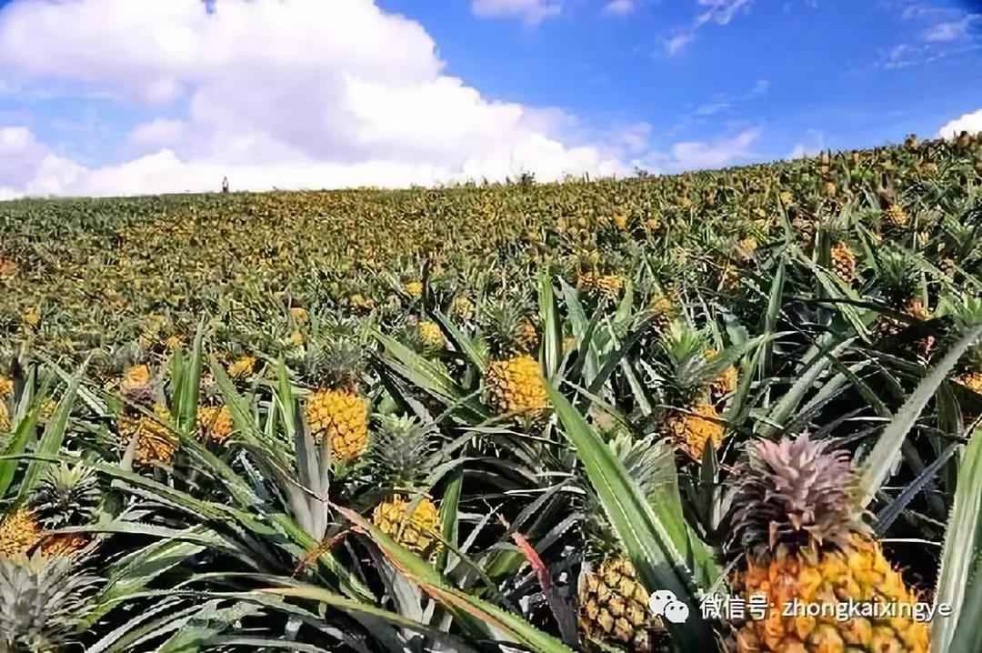 微信图片_20180615173548.jpg