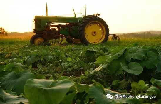 微信图片_20180615173855.jpg