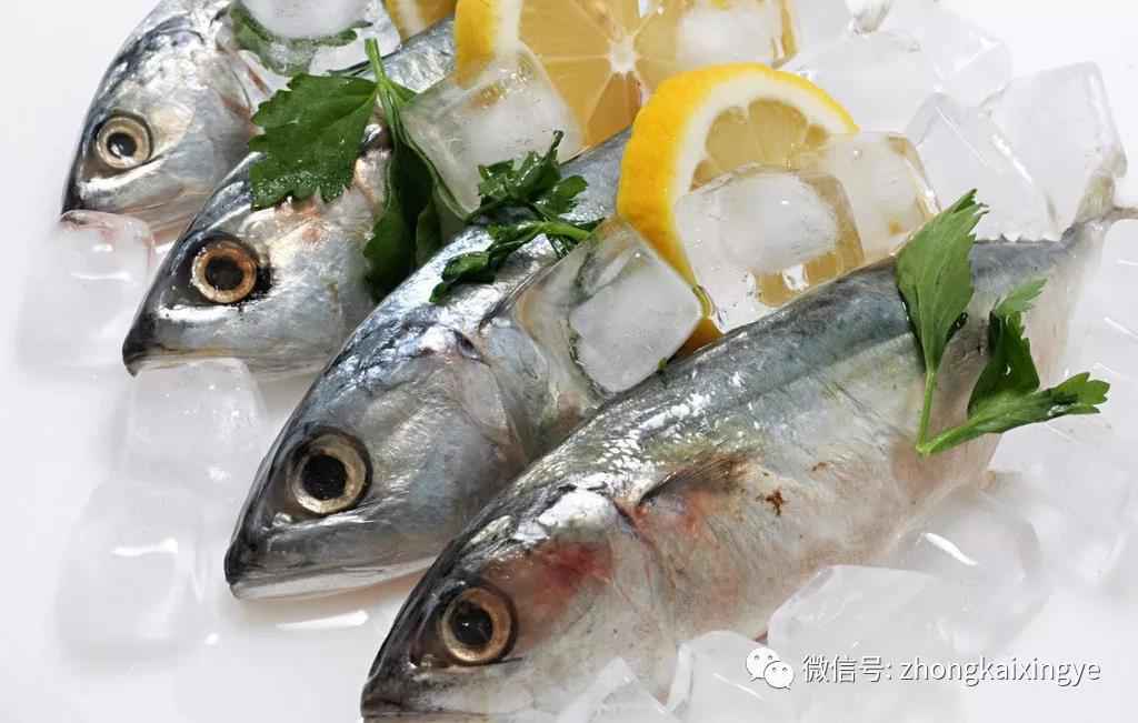 微信图片_20180615174241.jpg