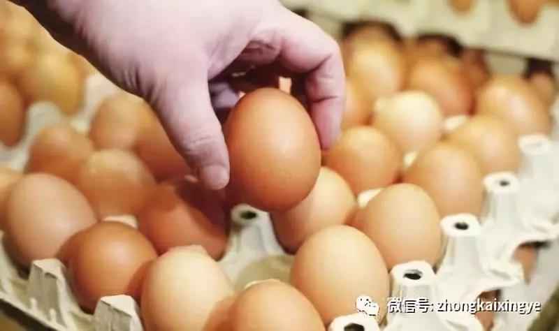 微信图片_20180622170751.jpg