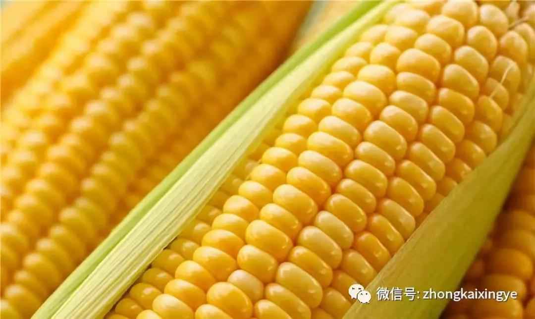微信图片_20180622171232.jpg